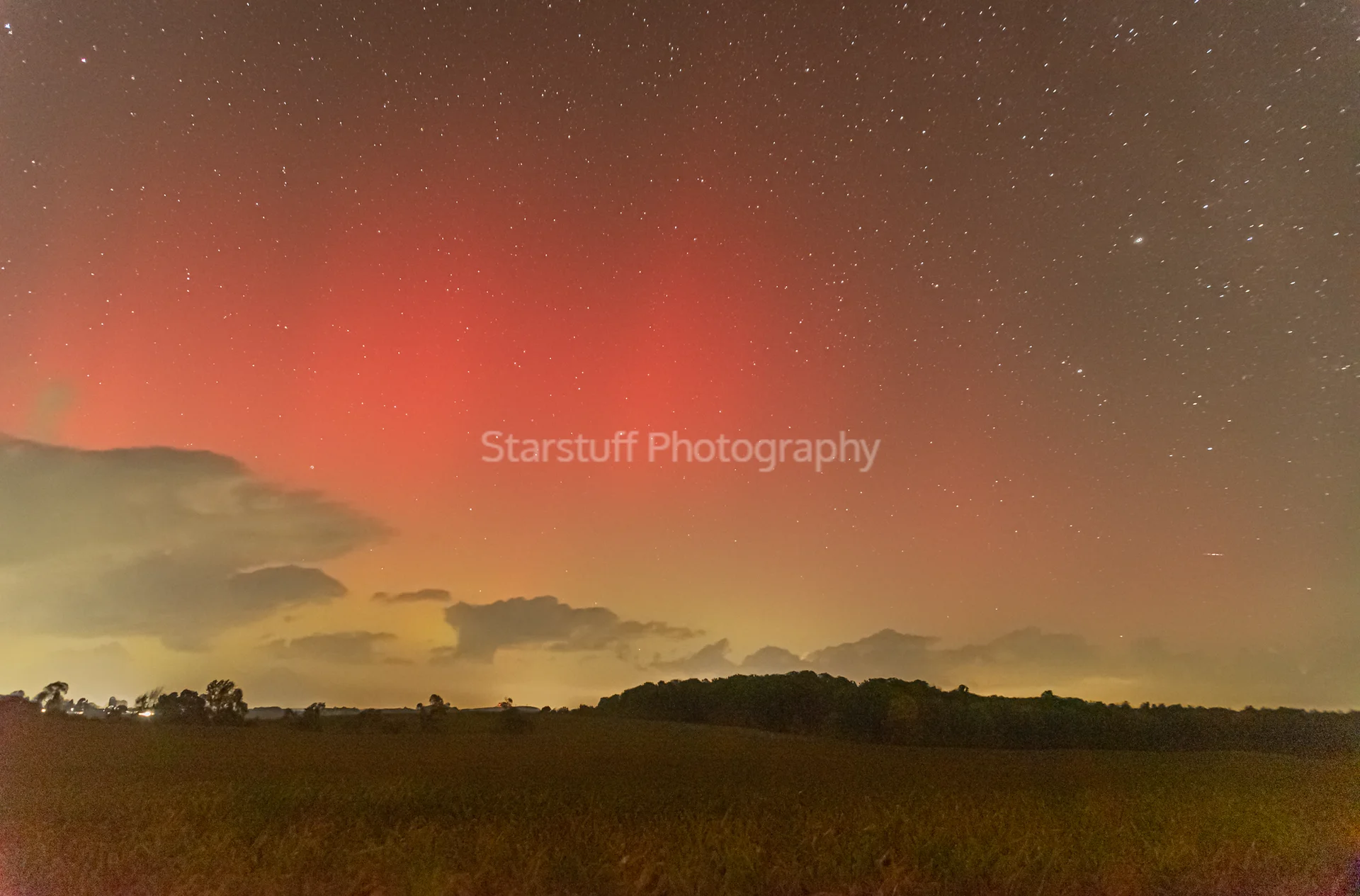 2024-10-07 21_37_31-Mace Windu Kitty - Adobe Photoshop Lightroom Classic - Develop.png