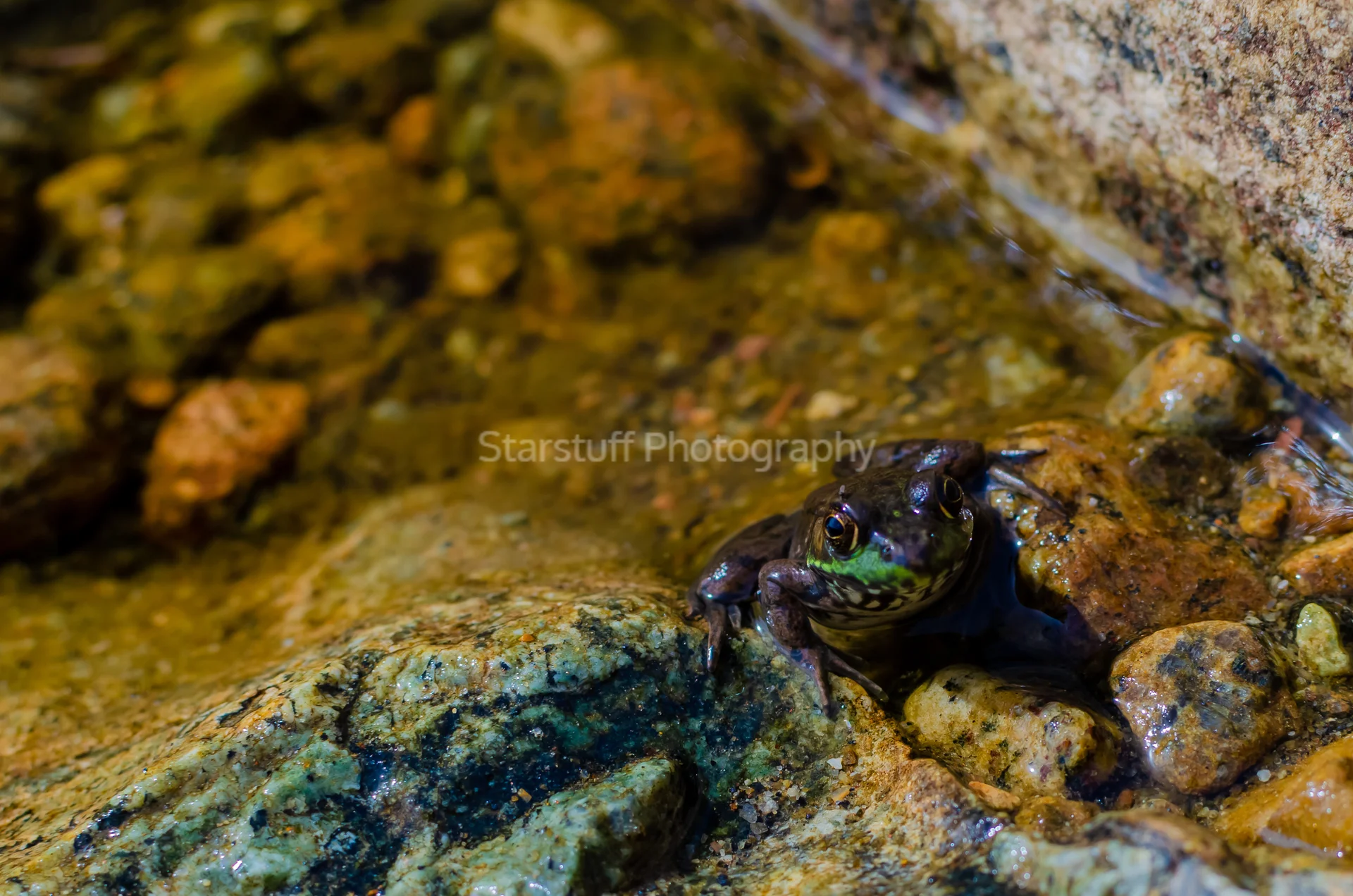 ADK MARCY 22 AMRB (1 of 1)-3.jpg