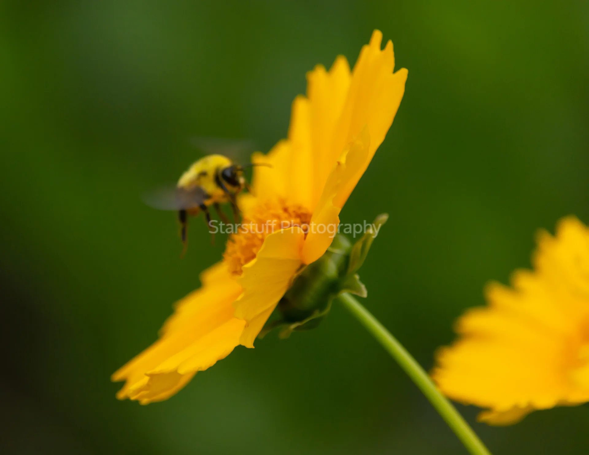 AvB November 2022 Show Prints (5).jpg