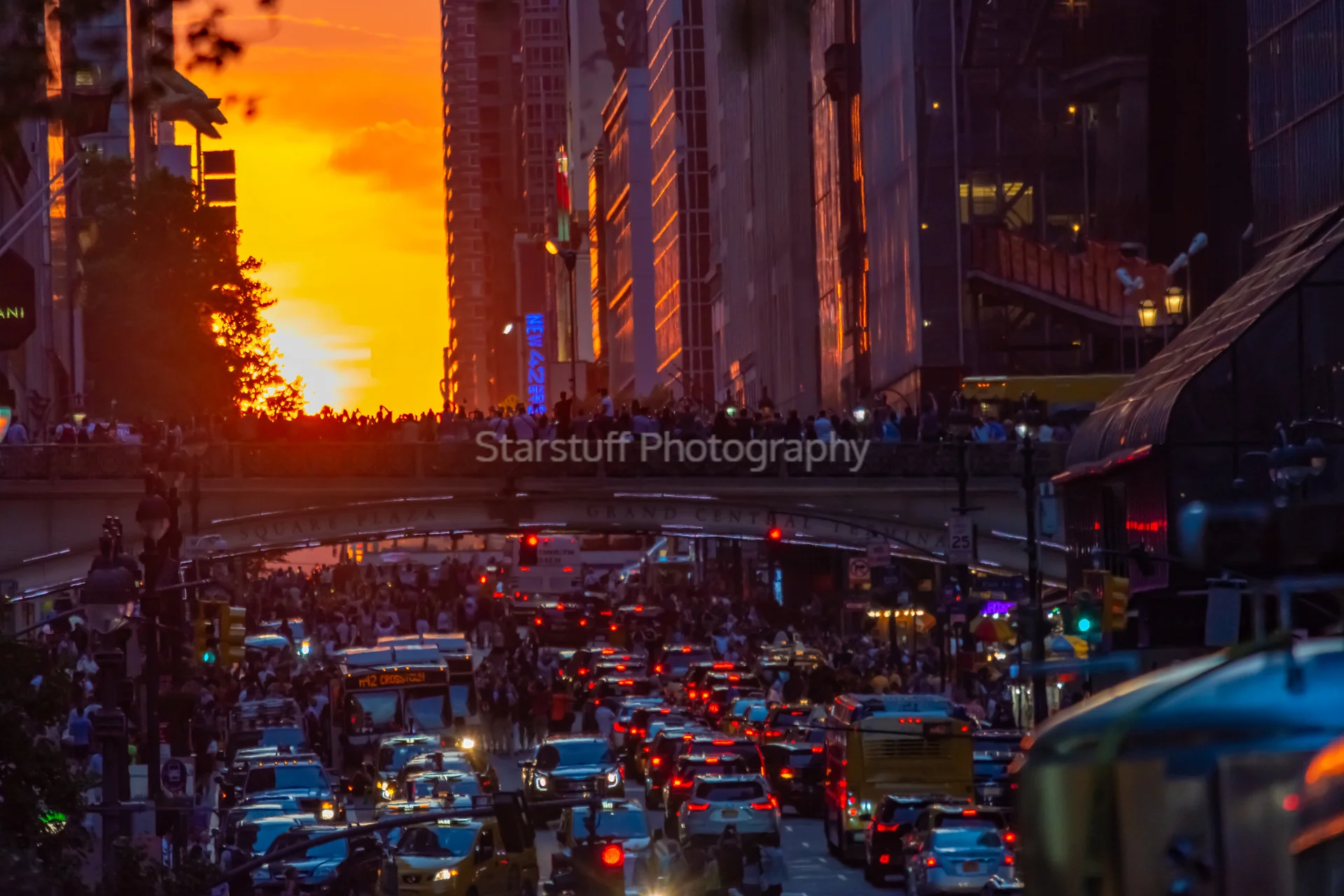 Manhattanhendge last Grand central2.jpg